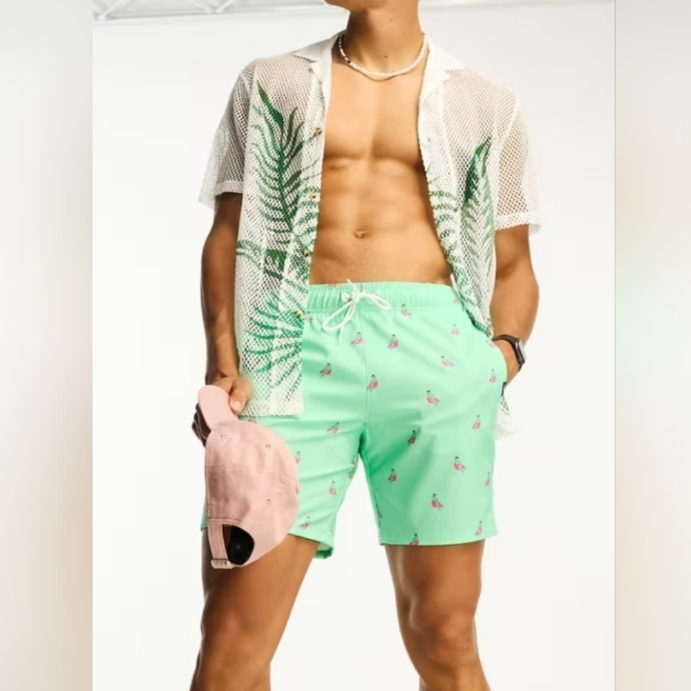 Men's Hollister Swim Shorts